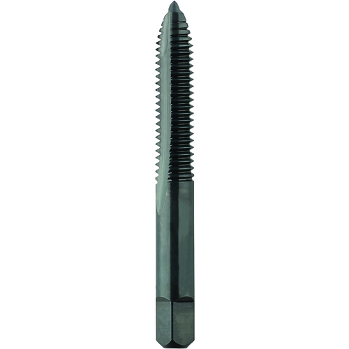 Tap Spiral Point Type 2 Black_1_Enlarge